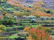 Otoñada Valle Jerte.