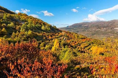 Valle del Jerte. Extremadura Turismo.