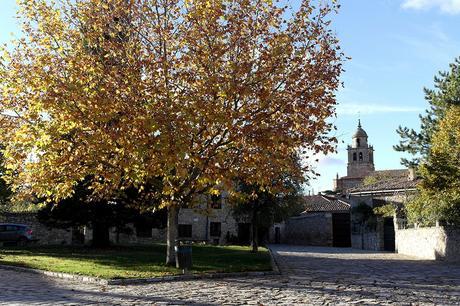 MEDINACELI MEDINACELI