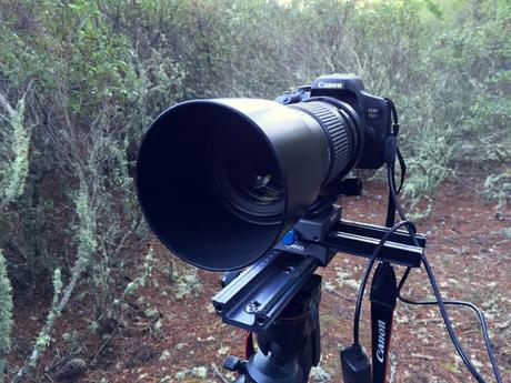 Review Canon EOS 750D