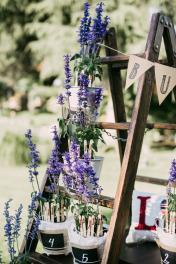 La boda primaveral, de Virginia y Jose Maria