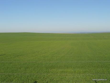 Ruta Senderista por Cañadas y Calzadas
