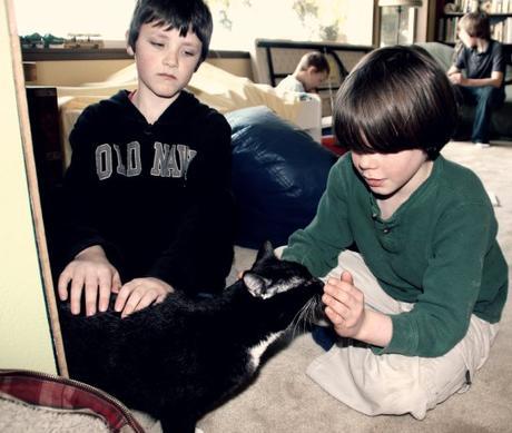 10 formas de empoderar respetuosamente a tu hijo reiki mascotas