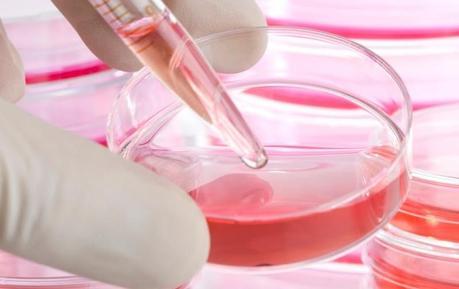 Tratamiento pionero con células de diseño