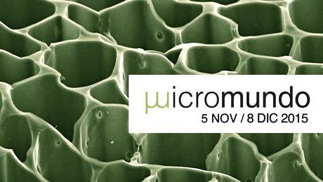 MICROMUNDO: EL LADO INVISIBLE DE LA CIENCIA