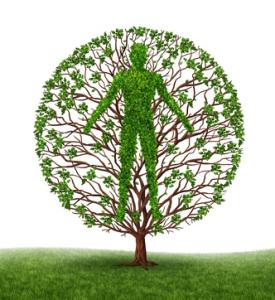 Human development and growth of personality and character in development as a medical icon of health as a tree with branches and green leaves in the shape of a persons anatomical body on white.s