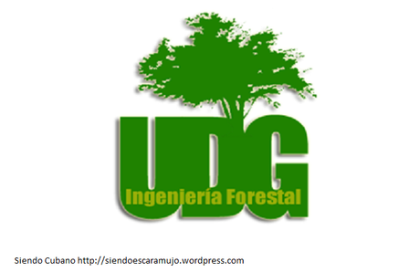 #Cuba Culminó Evaluación Externa a la carrera de Ingeniería Forestal en la #UDG Universidad de Granma
