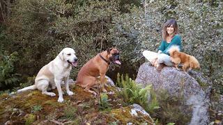 LA HISTORIA INTERMINABLE