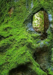 LA HISTORIA INTERMINABLE