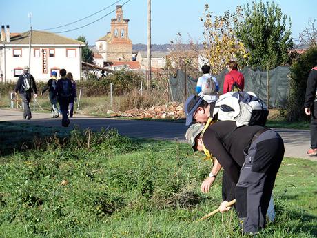 Sembrando el Camino de Santiago, desde Villabante hasta Santibañez de Valdeiglesias.