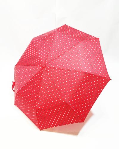 Noviembre lluvioso, año copioso