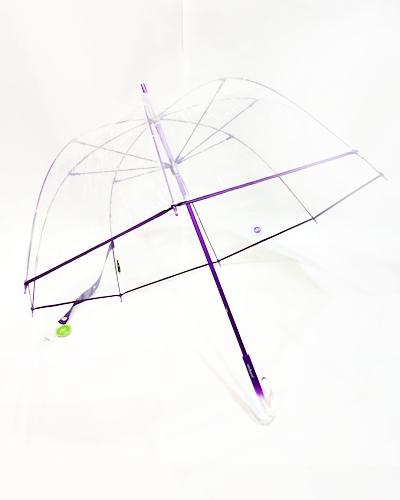 Noviembre lluvioso, año copioso