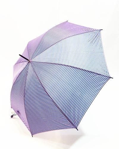 Noviembre lluvioso, año copioso