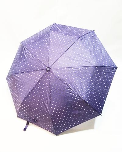 Noviembre lluvioso, año copioso