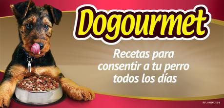 ¡Fascinación! y así lo revelaron los expertos en la segunda prueba de emoción Dogourmet Segunda prueba de emoción