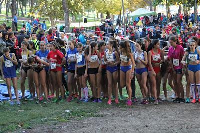 XXX CROSS DE SUANZES XXX CROSS DE SUANZES