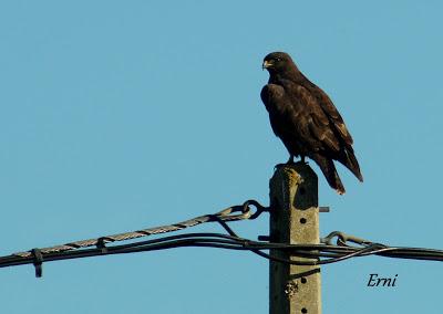 ESPERANDO EL FRÍO...