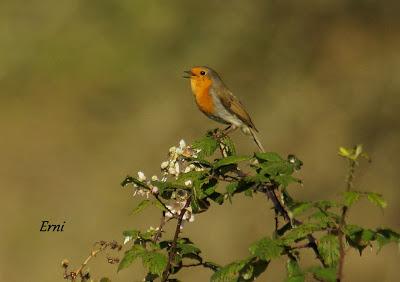 ESPERANDO EL FRÍO...