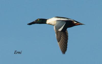 ESPERANDO EL FRÍO...