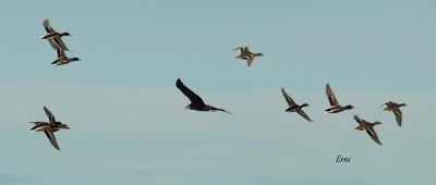 ESPERANDO EL FRÍO...