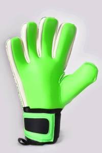 11988767_1664825413765898_4033348552644022342_n