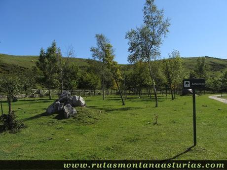 Ruta Lagos de Covadonga PR PNPE-2: Arboreto