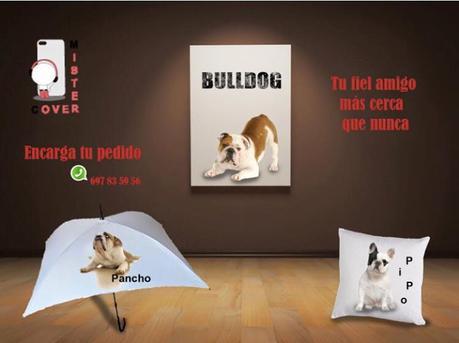 Mi Palo de Selfi en Mr. Cover