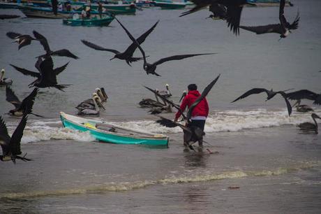 Manabí, espectáculo viviente