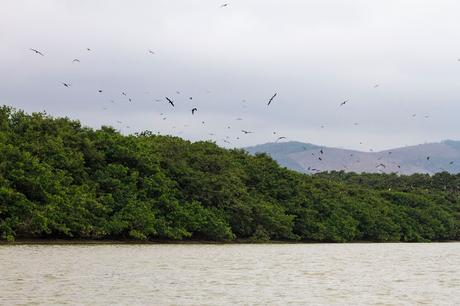 Manabí, espectáculo viviente