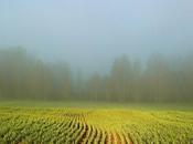 Poner profundos silencios