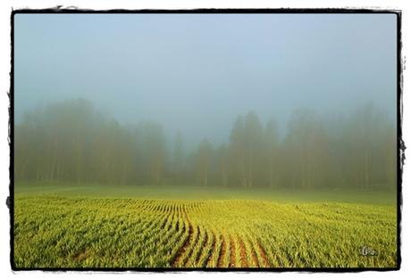 Poner profundos silencios
