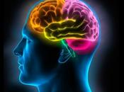 Nuestra mente solo sirve para aprender