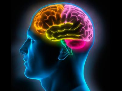 Nuestra mente no solo nos sirve para aprender