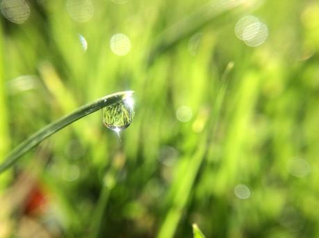 Módulo de entrenamiento que ayuda a optometristas a identificar el glaucoma