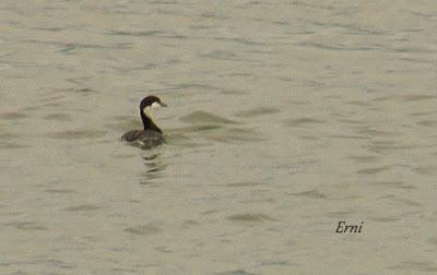 EL PRIMERO DE LA TEMPORADA