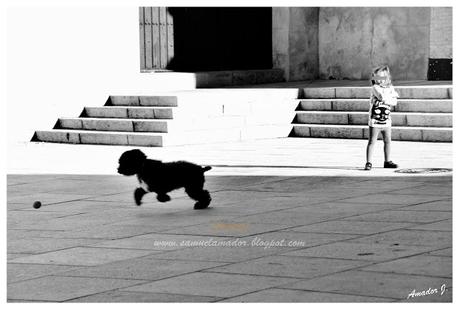 CALLEJEANDO POR ARAHAL