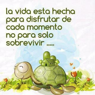 Mis últimos años de vida.....