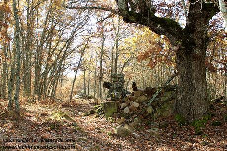 robledal de palacios otoño burgos