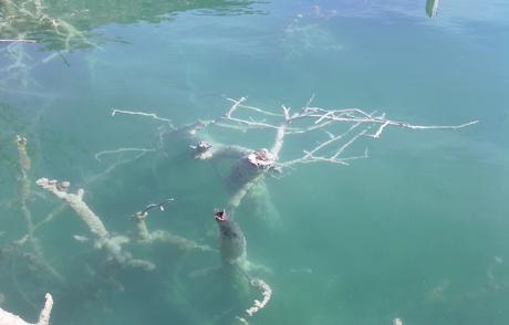 ¿Qué buscan las empresas, qué buscan los reclutadores? 2ª Parte.