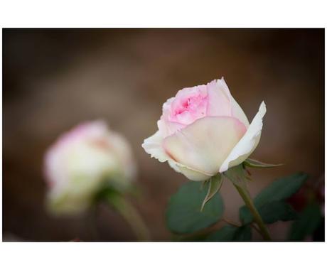 ¿Qué buscan las empresas, qué buscan los reclutadores? 2ª Parte.