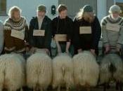 Rams valle carneros)