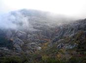 Niebla Ocejón