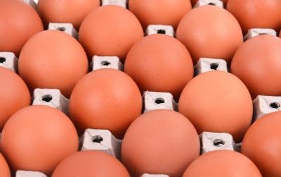 7-mitos-de-las-dietas-4