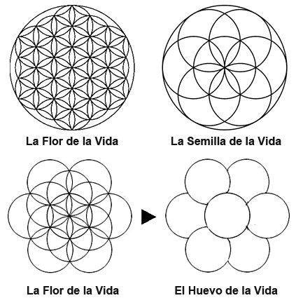 La Flor de la Vida