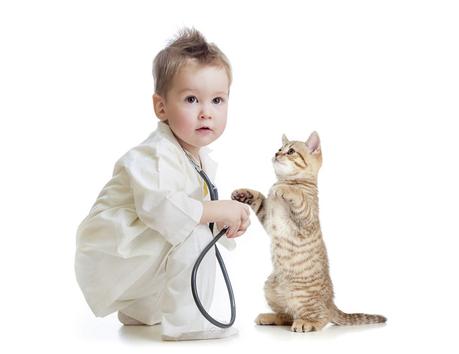 Recuerda que la salud de tu gato es ahora más importante que nunca con la presencia de un niño en casa