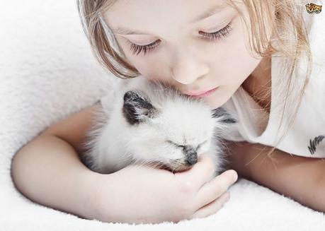 Enséñale a tu niño que los gatos son seres vivos que sienten tal como ellos