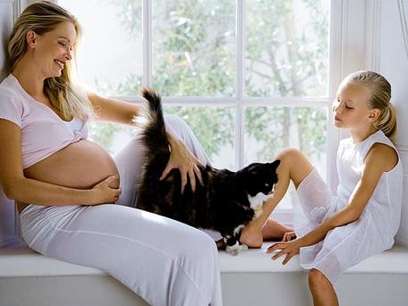 Hay pasos que puedes seguir para introducir gatos y niños sin riesgos