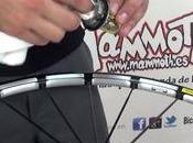 Como hace mantenimiento rueda Mavic Crossmax