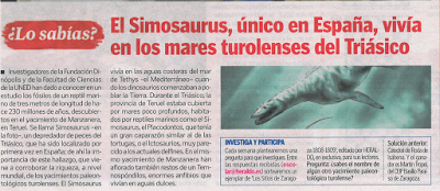 RETO YACIMIENTO PALEONTOLÓGICO TUROLENSE