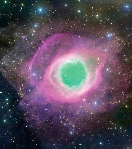 11108852_1011791805499638_4139456482452319418_n